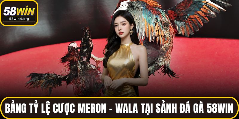 Bảng tỷ lệ cược Meron – Wala tại sảnh đá gà 58WIN